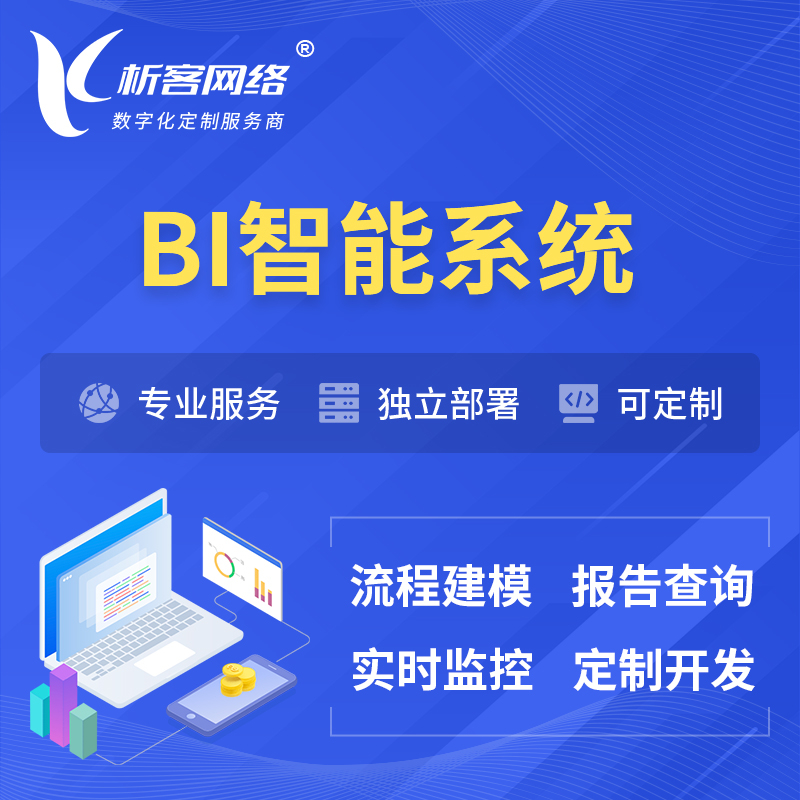 甘孜藏族BI智能系统 | BI数据可视化